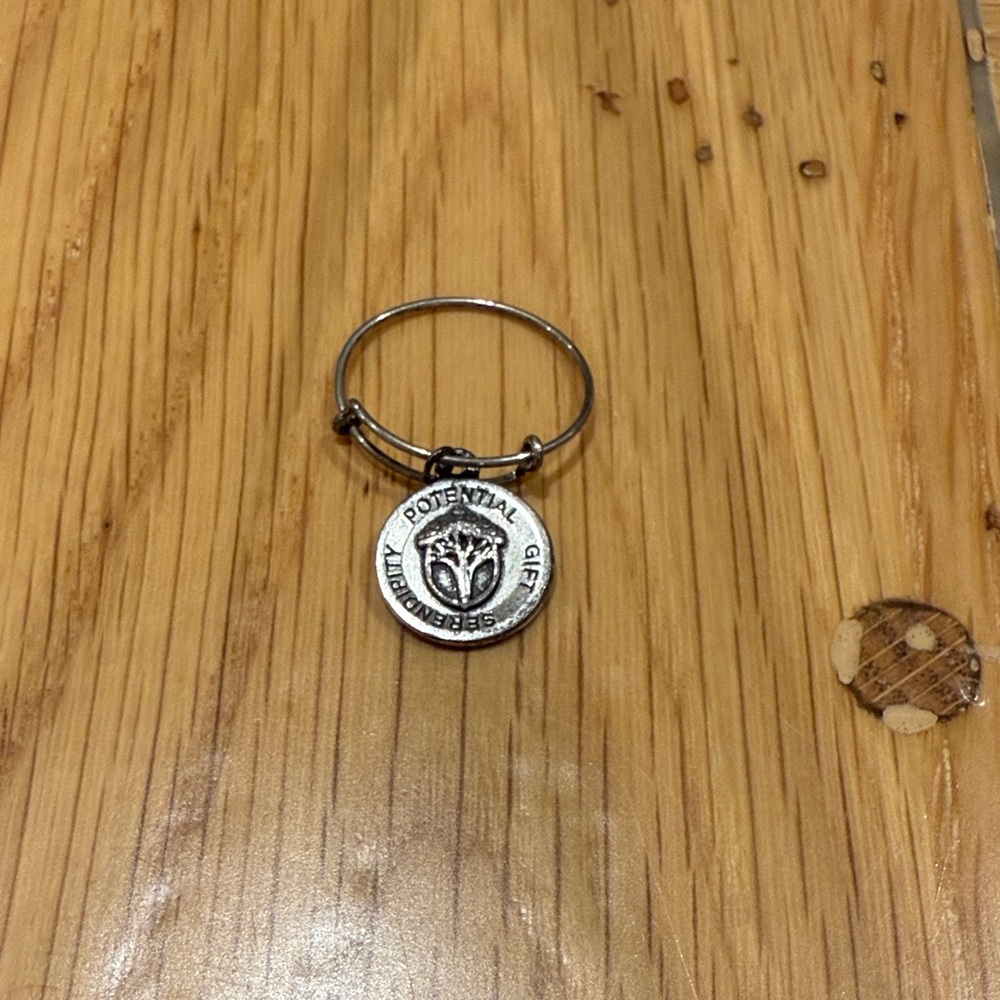 Alex and Ani Charm Ring